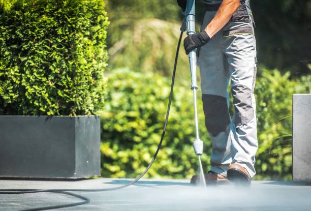 Boat and Dock Cleaning in Redwood, OR