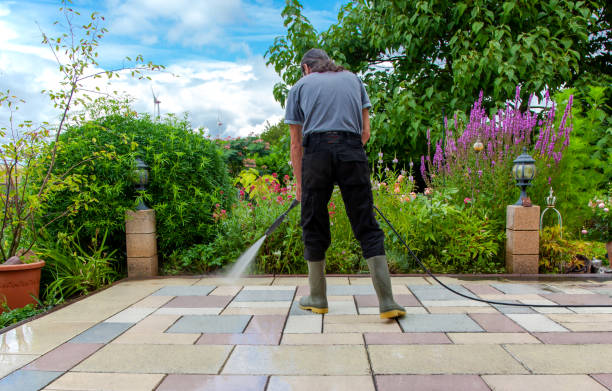 Best Pre-Holiday Cleaning  in Redwood, OR